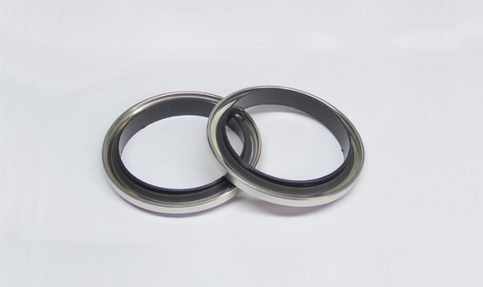 PTFE Oil Seal